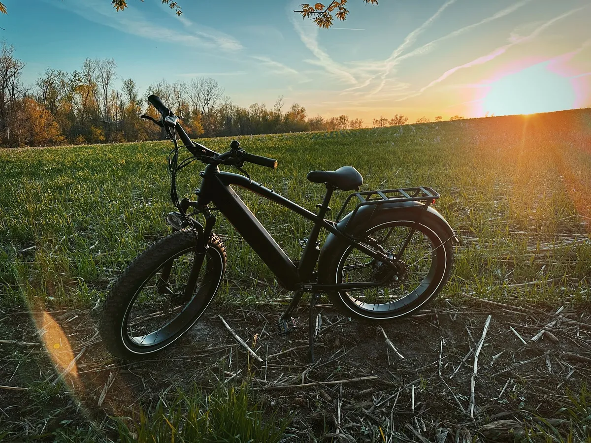 E156EC85-2687-4C07-9153-84FBBD7AF252_result