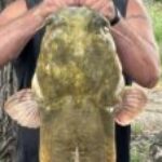 LANCE WINFORD profile photo