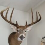 Zachary Bro profile photo